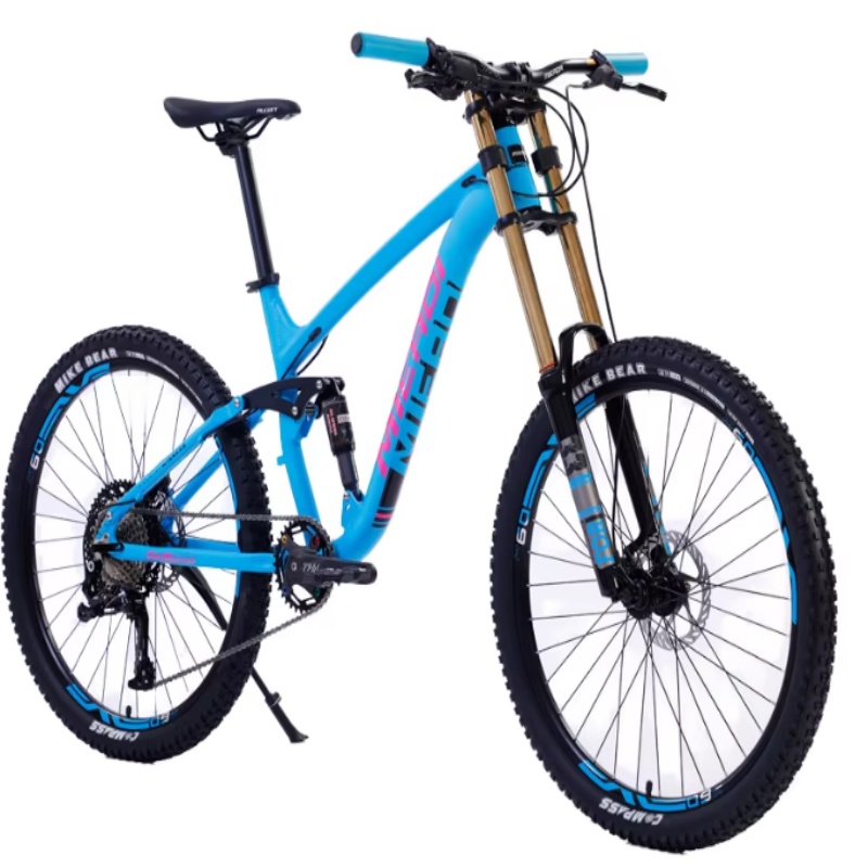 High Quality 24-Inch Dual Disc - Mountain Biking Gear review and price