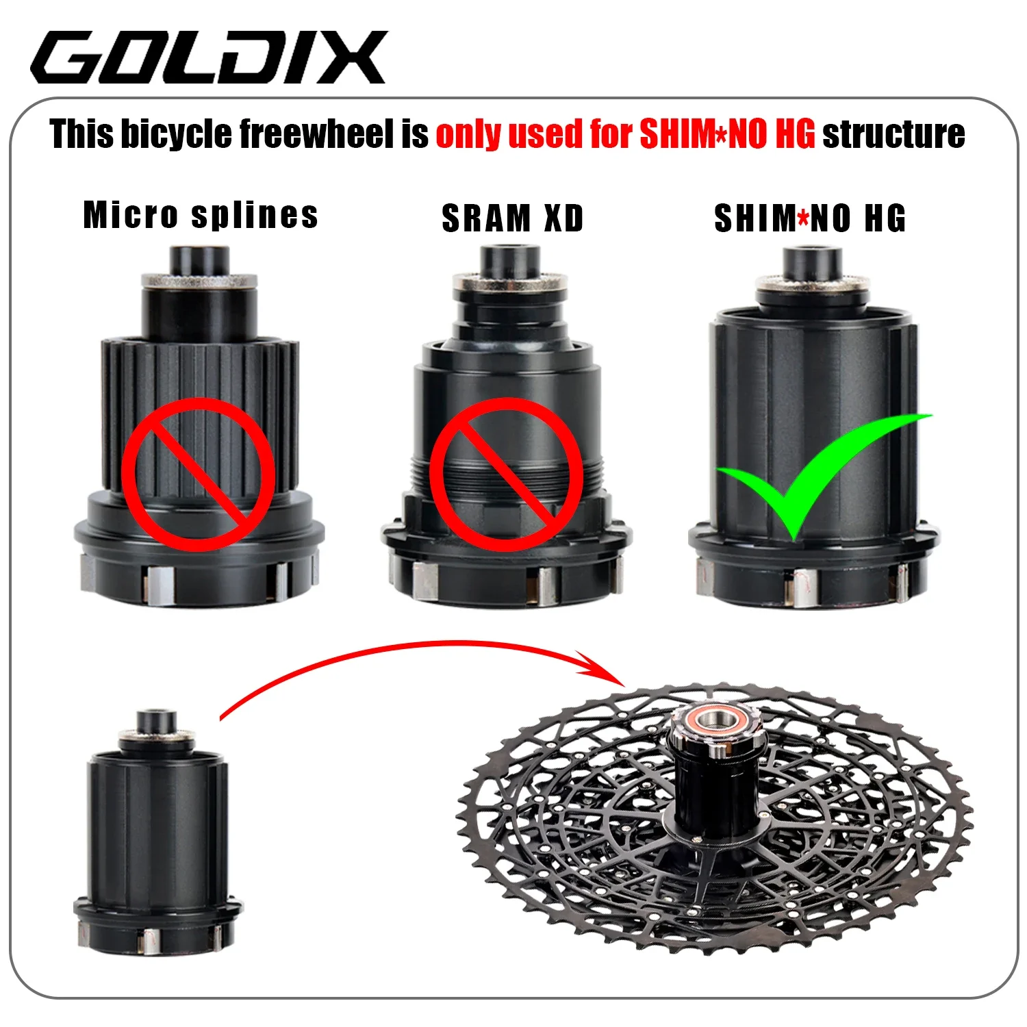 GOLDIX 13 Speed Ultralight Bic - Cassette 11 Speed review and price